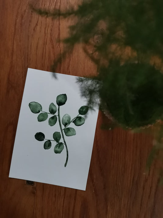 Carte Eucalyptus